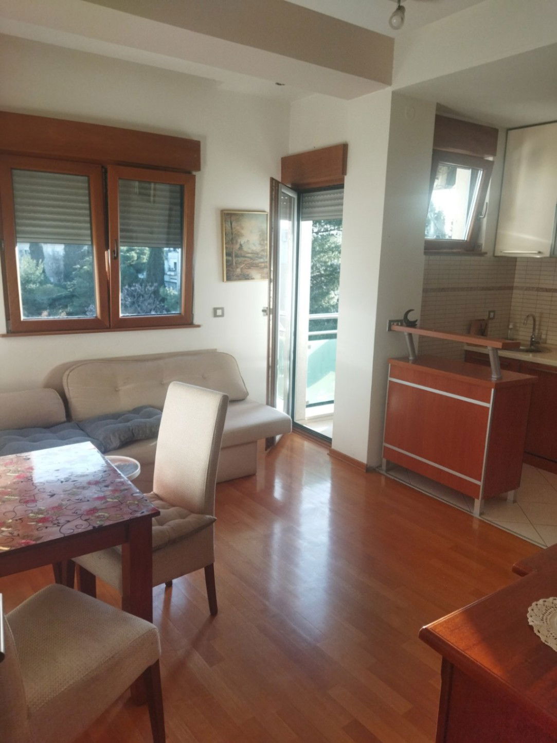 Rent - Apartment Podgorica, Preko Morače