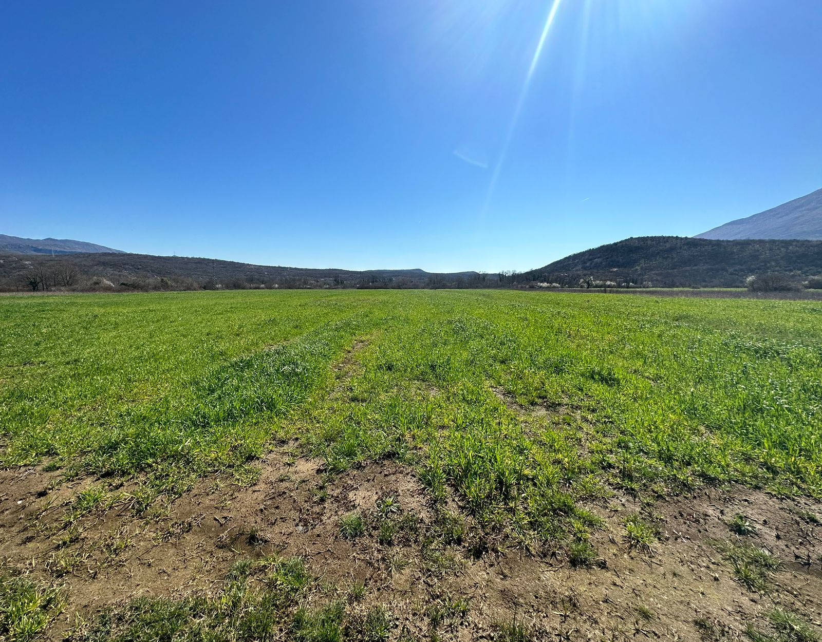 Продаж - Земля Danilovgrad, Danilovgrad