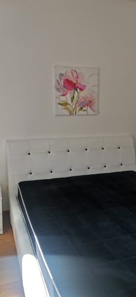 015d8309-e9bf-40ab-8c89-a8cf9a5cc189.jpg