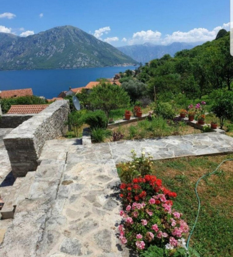 Kiralık - Ev Kotor, Kostanjica