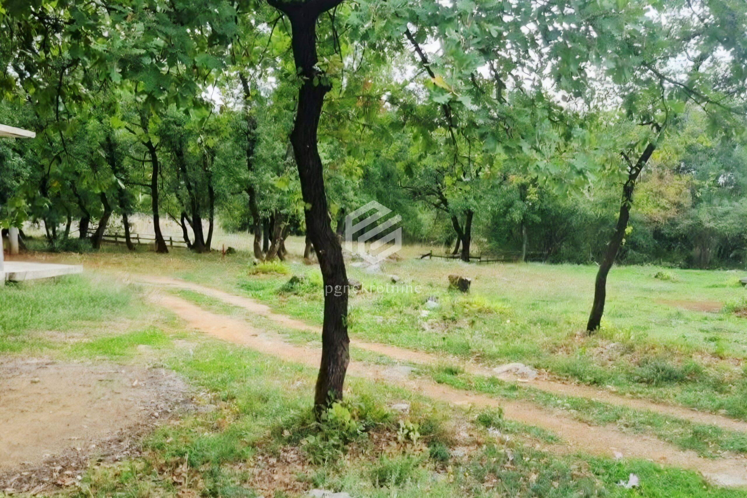 Продажа - Земля Podgorica, Vranići