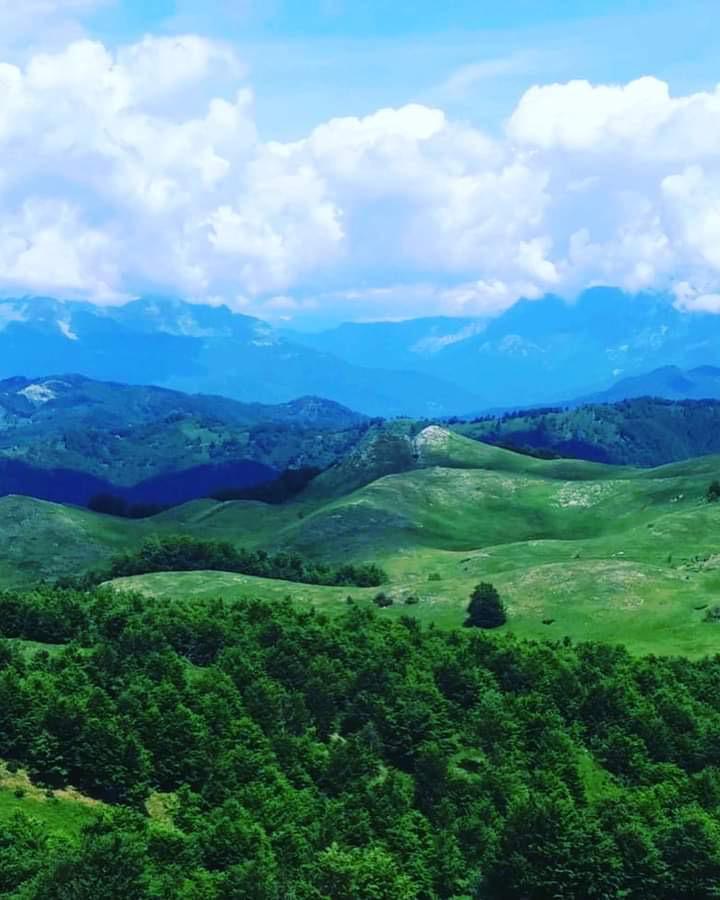 Продажа - Земля Podgorica, Brskut