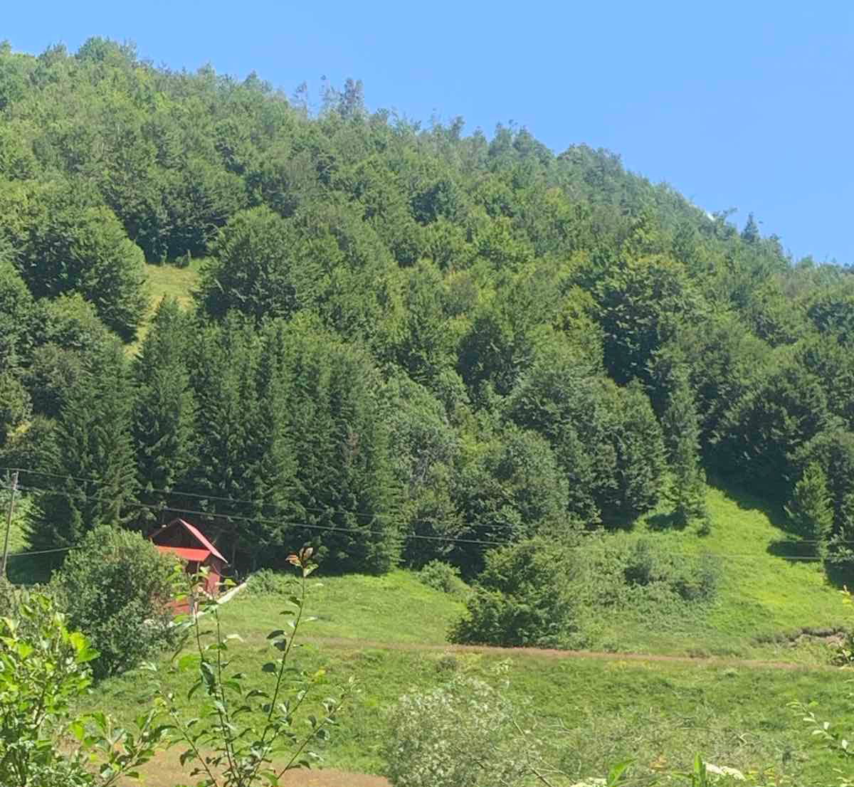 Slika nekretnine 2