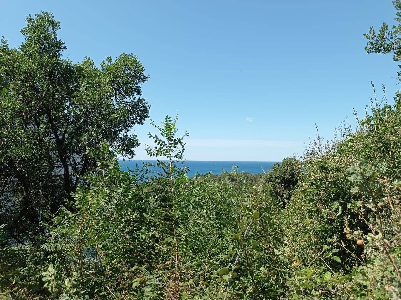 Sale - Land Bar, Utjeha