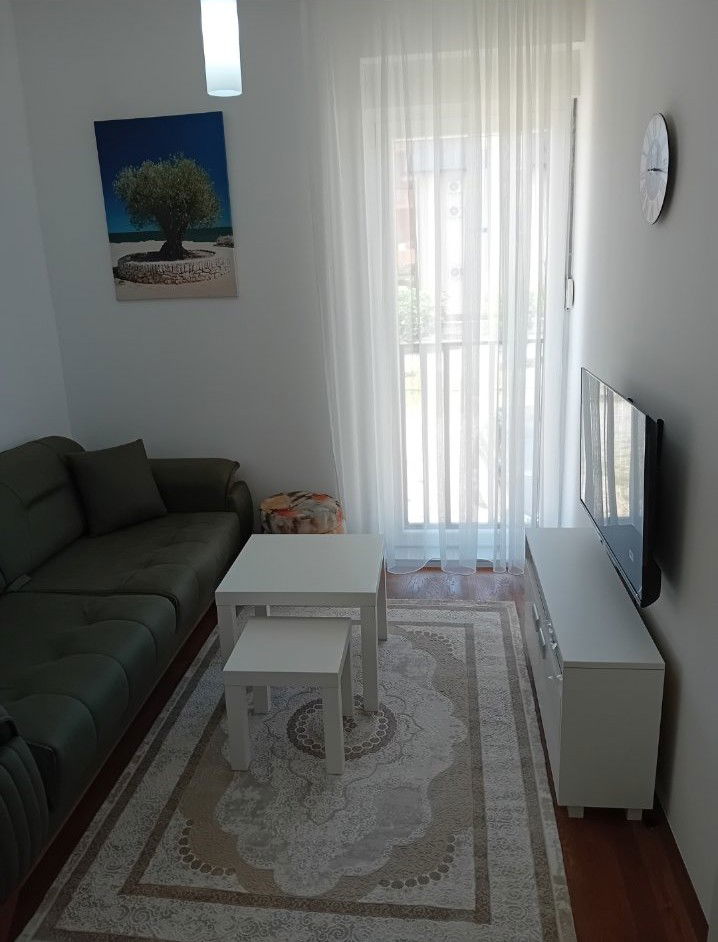 Rent - Apartment Podgorica, Central Point