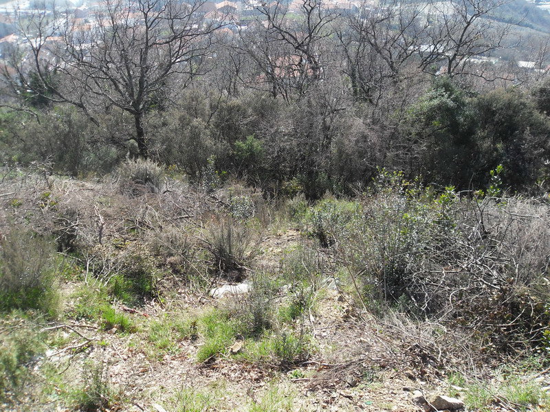 Slika nekretnine 3