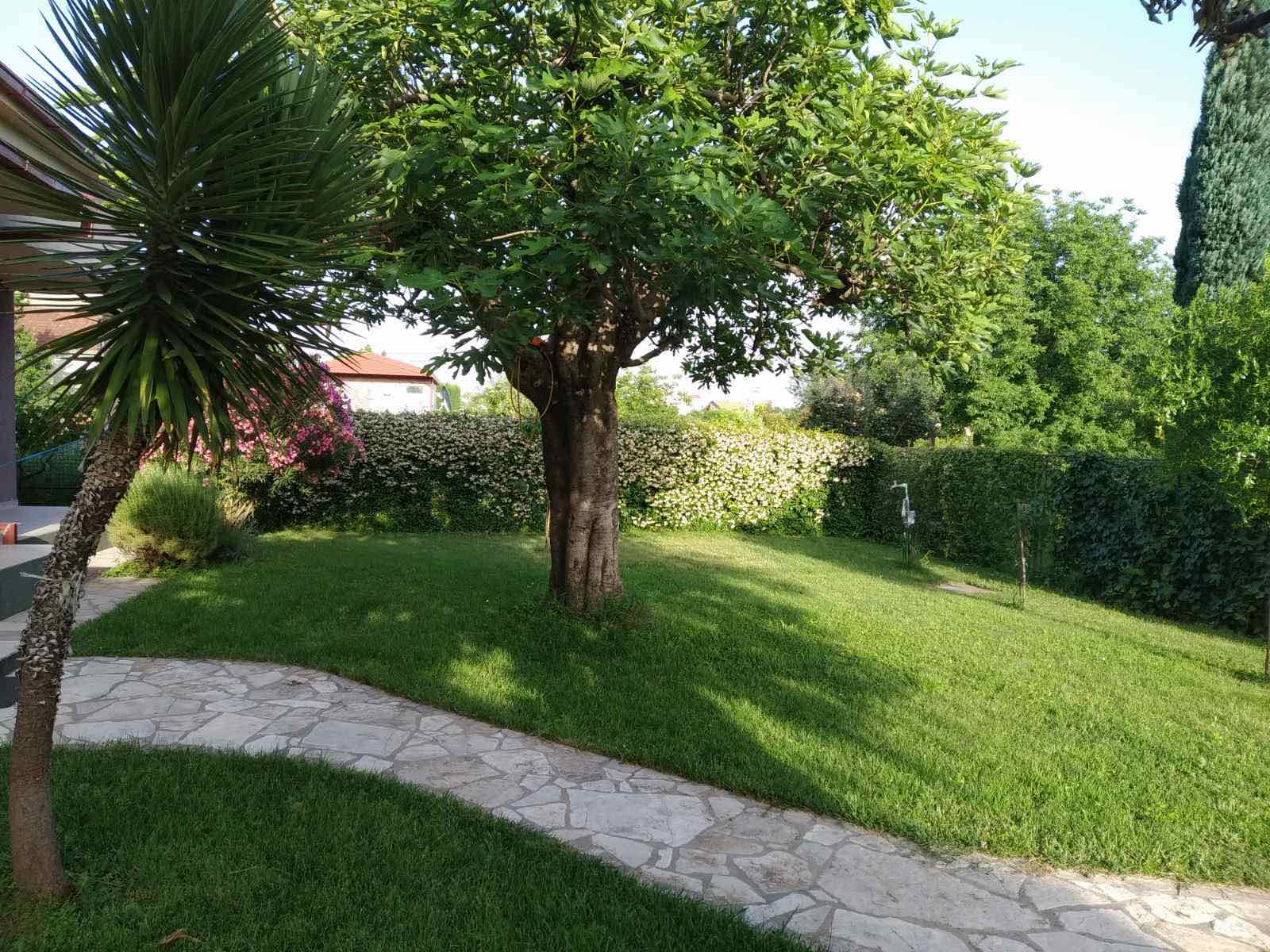 Slika nekretnine 11