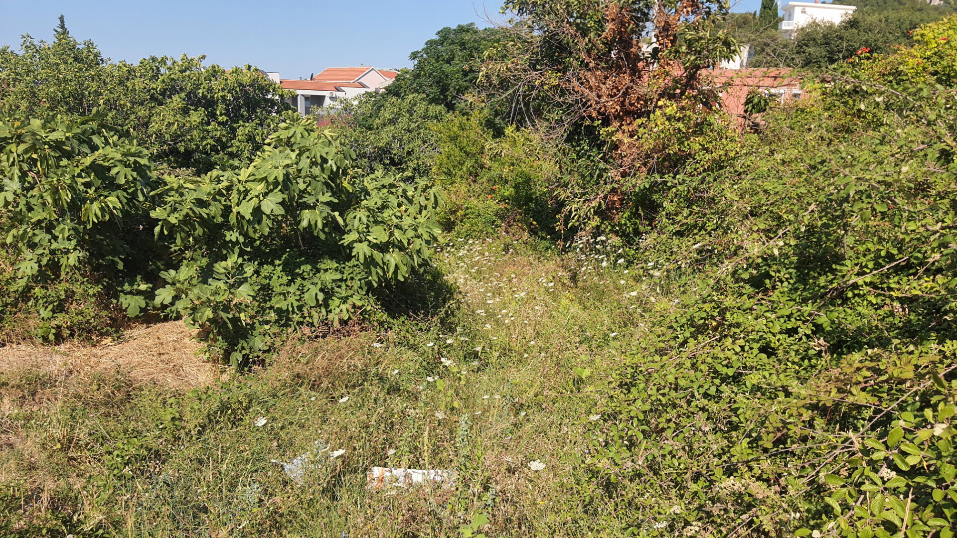 Satılık - Arazi Bar, Bar