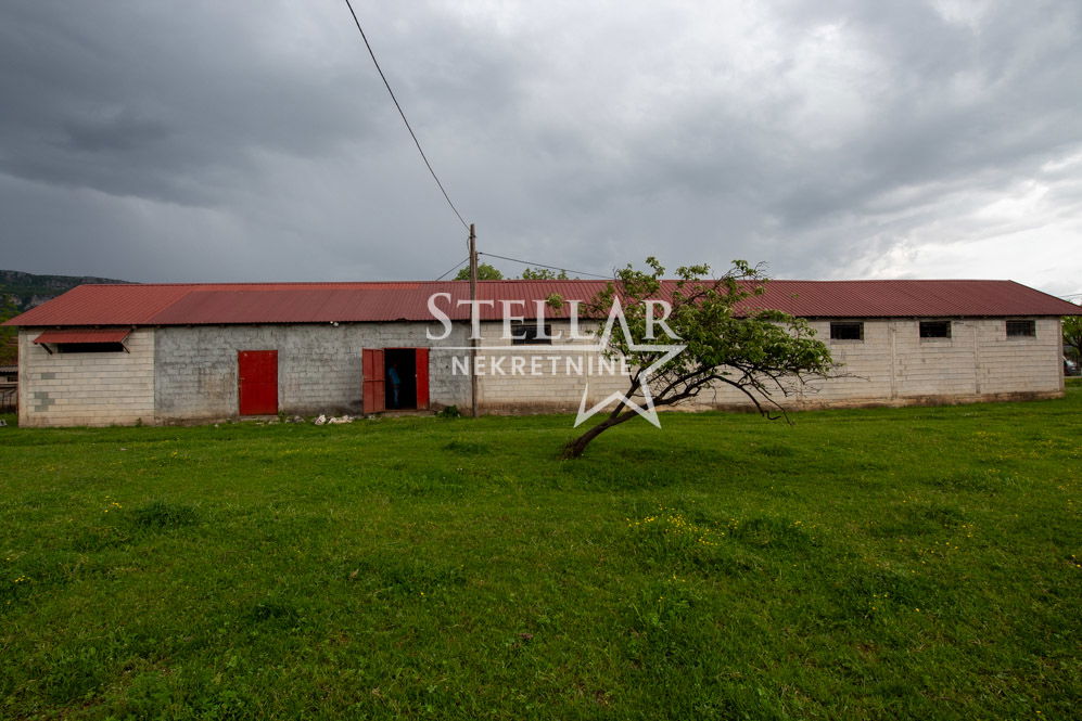 0cfa76aa-048a-45ad-8deb-fe75674a7ae0.jpg