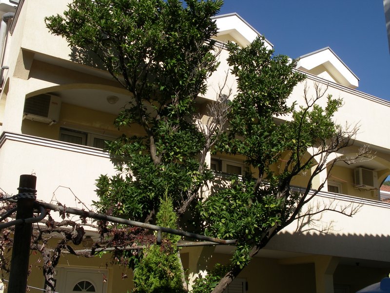 Rent - House Budva, Budva