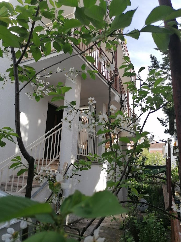 Sale - House Bar, Utjeha