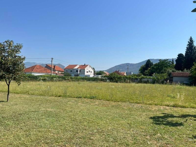 Продажа - Земля Podgorica, Masline