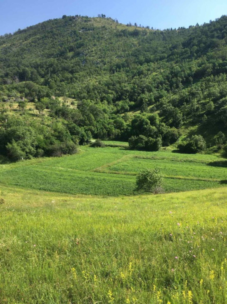 Продажа - Земля Podgorica, Radovče