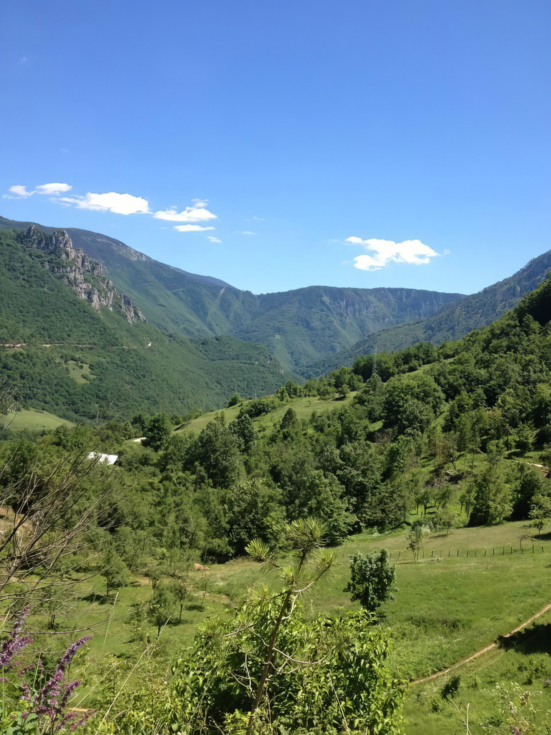 Slika nekretnine 7
