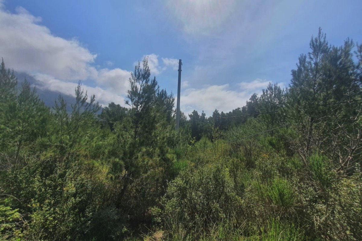15f29079-c3e8-4234-a9ac-0b7bd360f5e6.jpeg