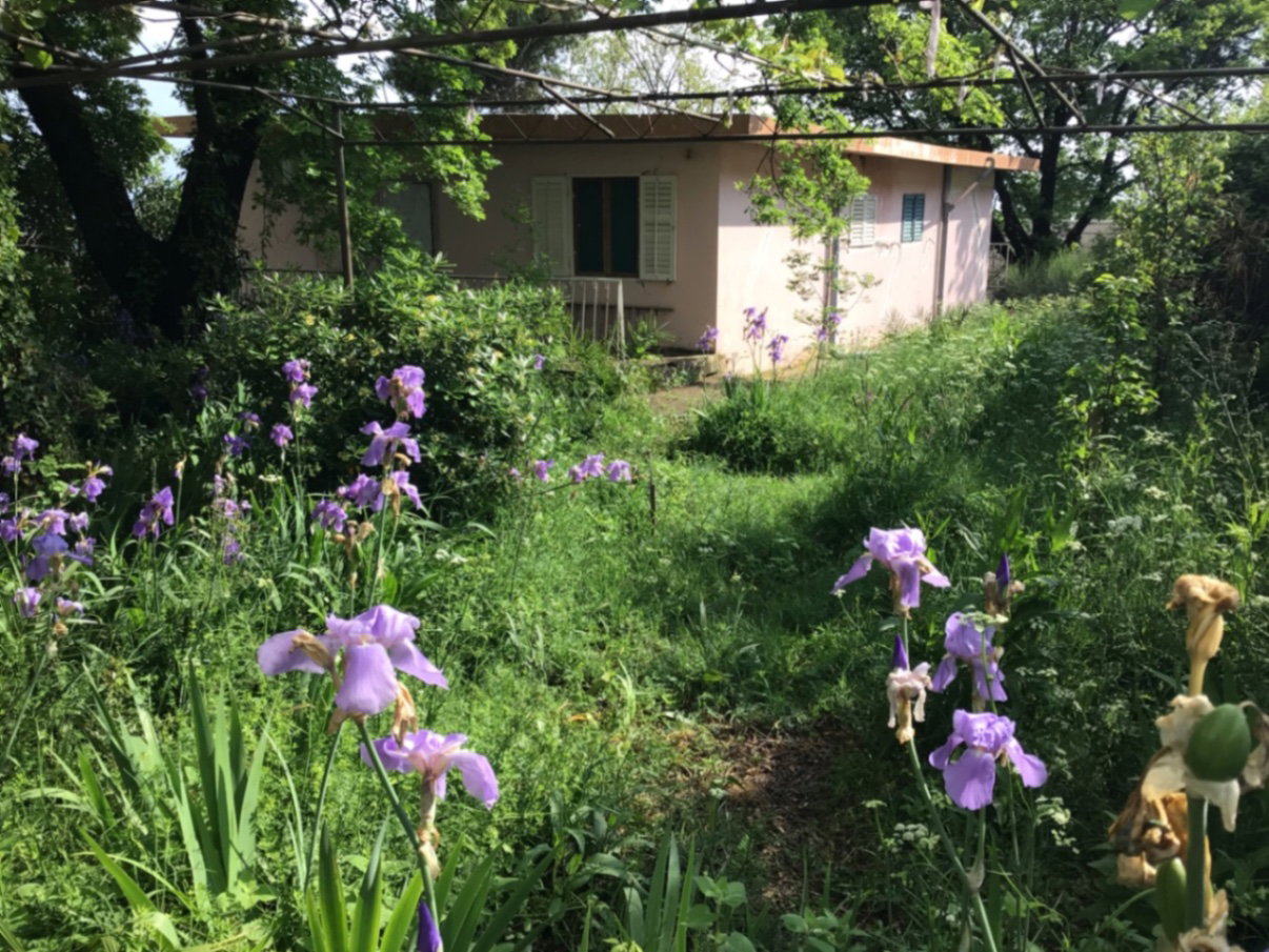 Slika nekretnine 17