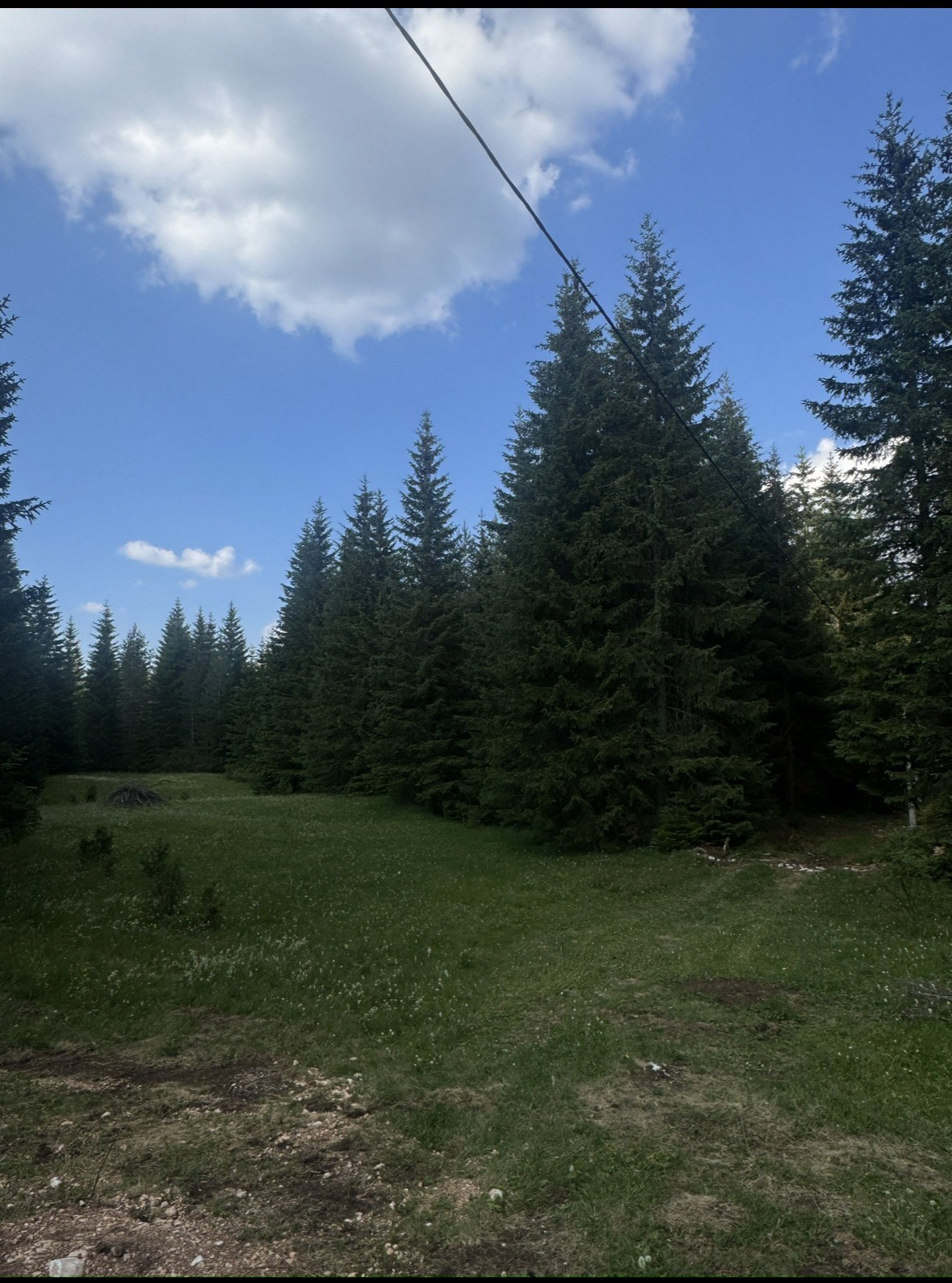 Slika nekretnine 5
