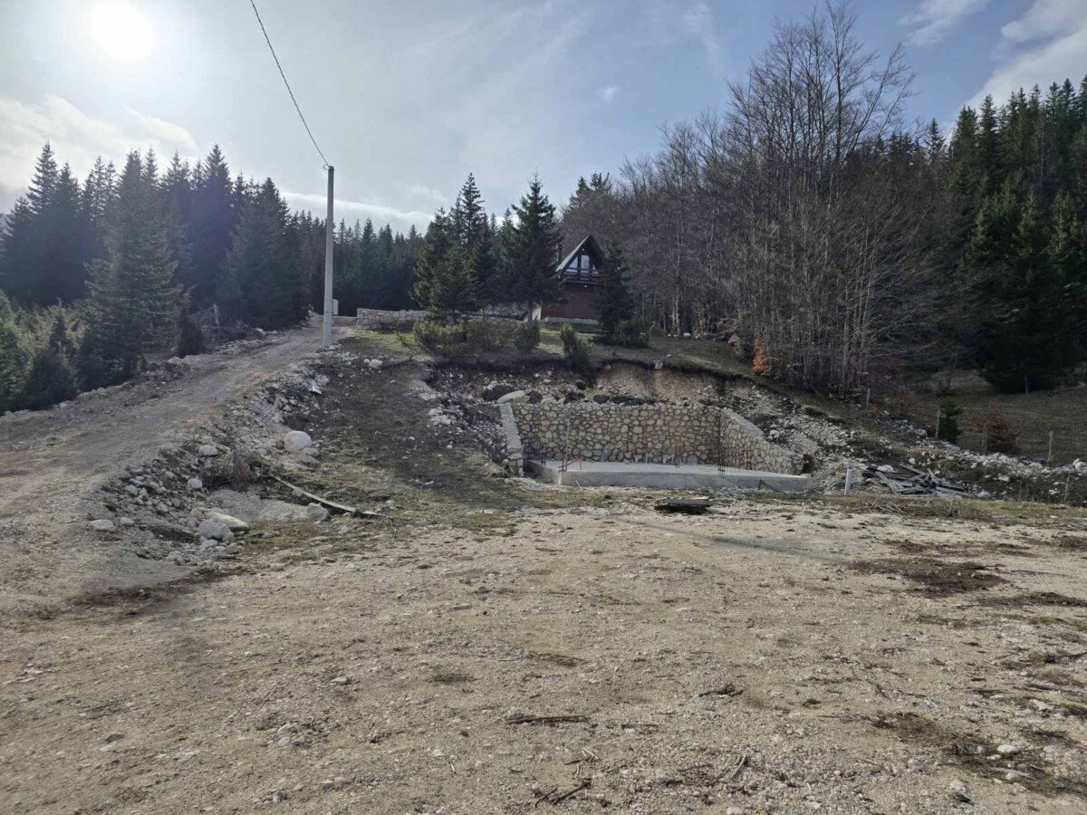 Sale - Land Žabljak, Motički gaj
