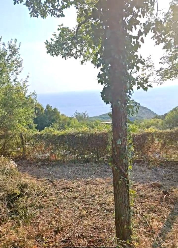 Slika nekretnine 8