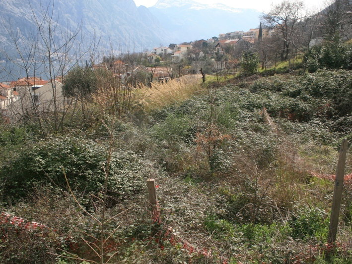 Slika nekretnine 3