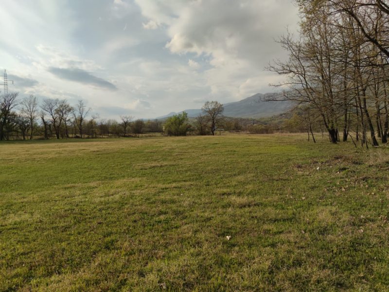 Продажа - Земля Podgorica, Podgorica