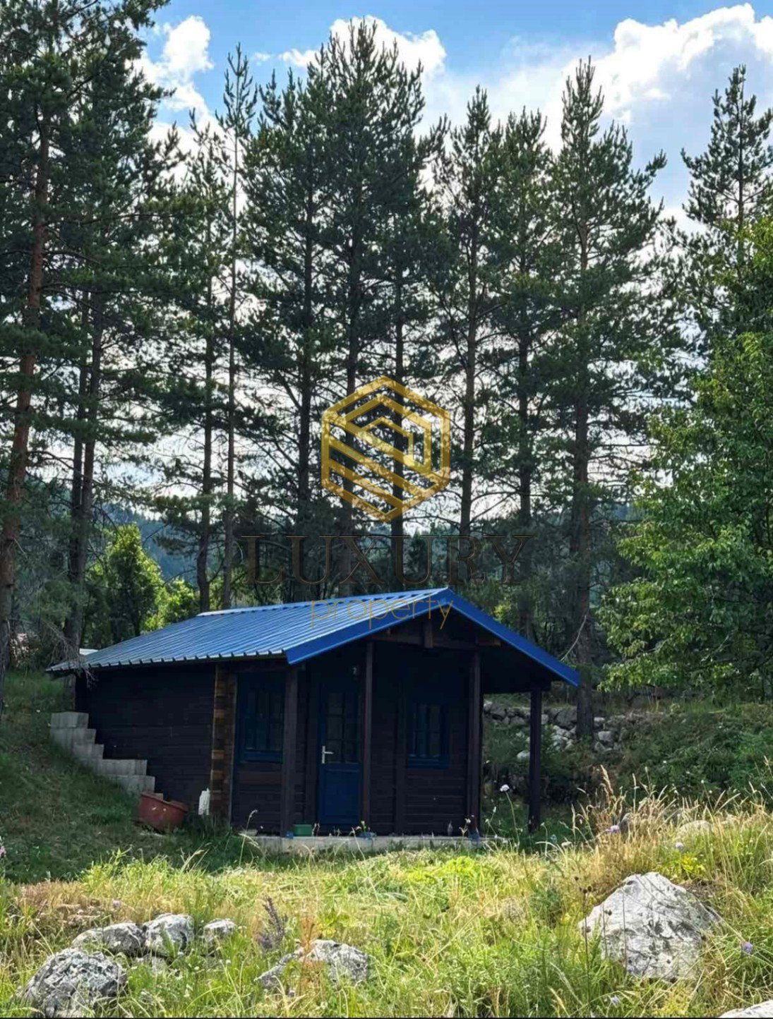 Satılık - Ev Žabljak, Borje