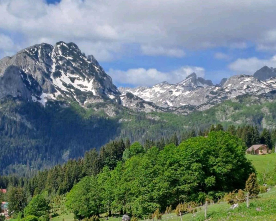Prodaja - Zemljište Žabljak, Pitomine