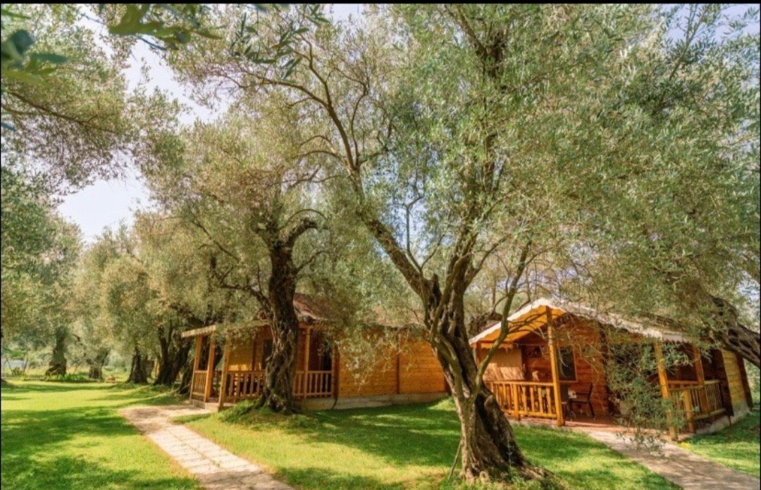 Slika nekretnine 8