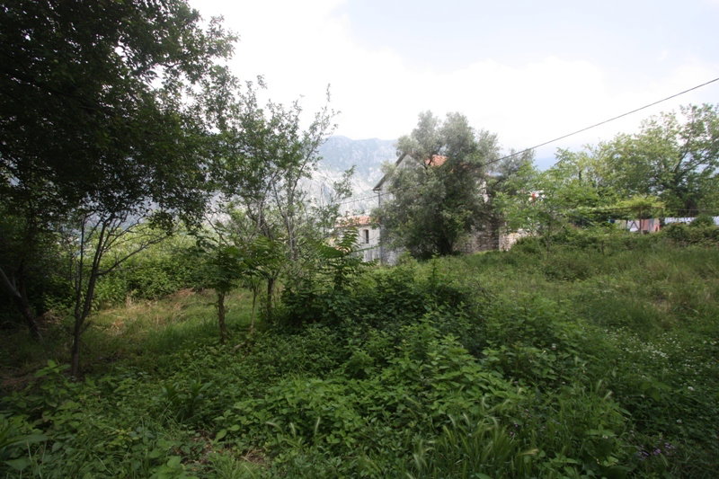 Slika nekretnine 10
