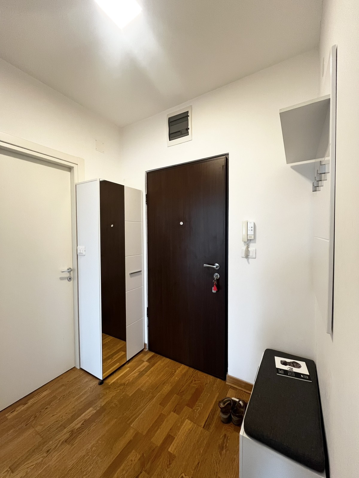 21ff98bf-e5ae-4114-97d9-746ba5bda022.jpg