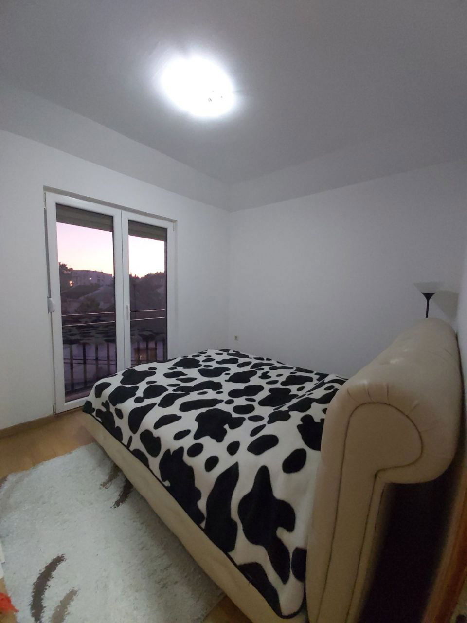 2259e34d-ede7-46e5-94bf-672bedbb456a.jpg