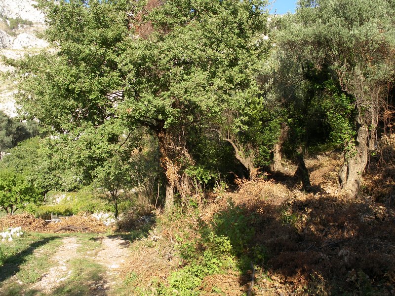 Продажа - Земля Budva, Reževići