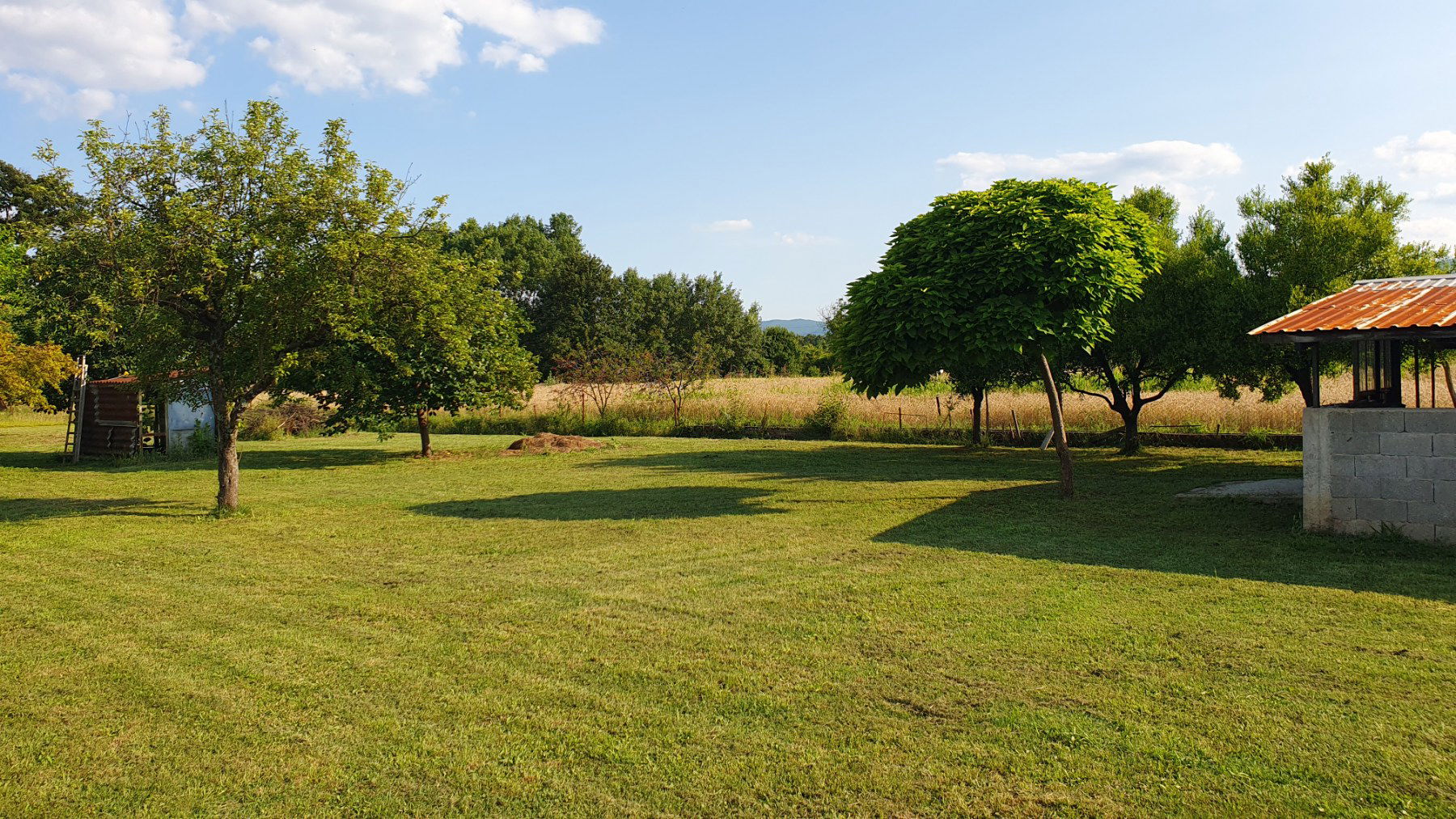 2394a0b4-f069-4914-bd55-56822859640b.jpg