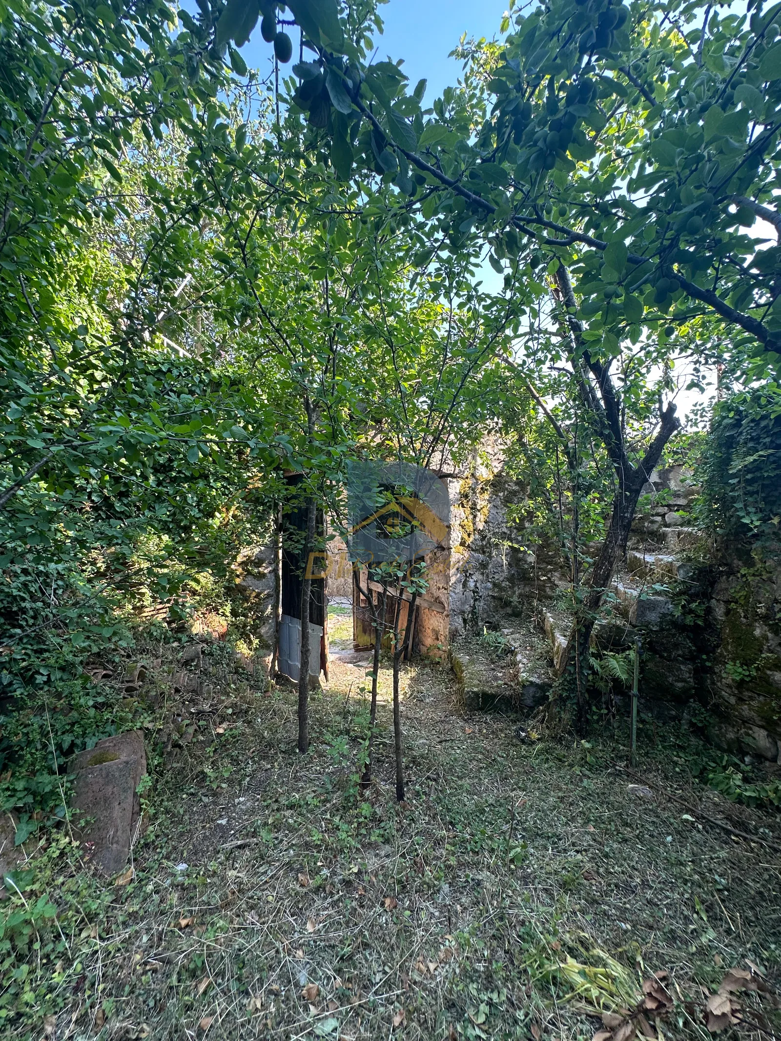 Slika nekretnine 14