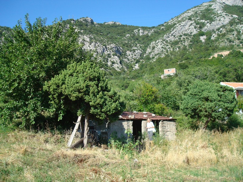 Slika nekretnine 3