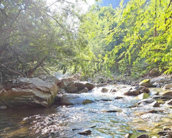 Prodaja - Zemljište Podgorica, Veruša