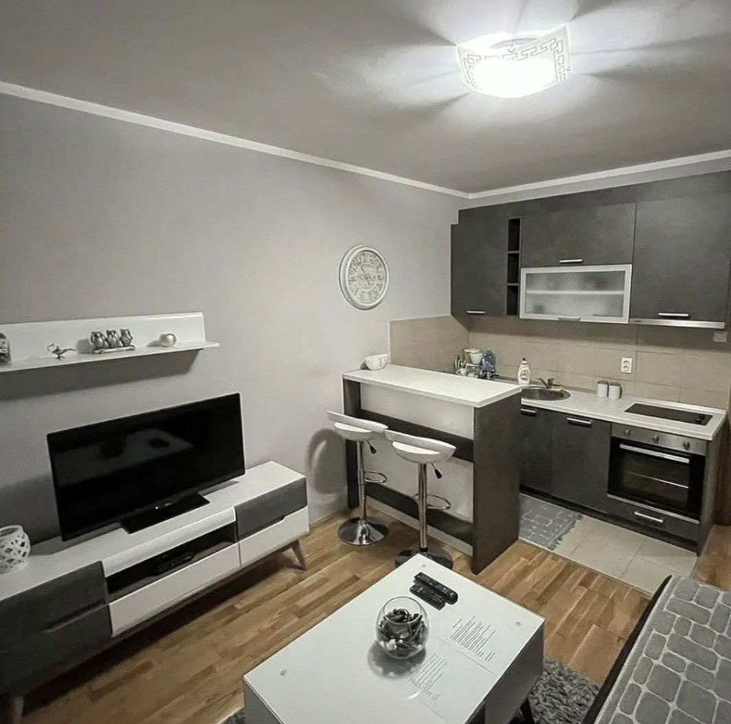 Rent - Apartment Podgorica, Ljubović