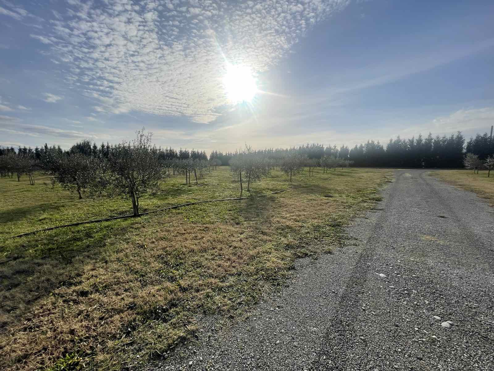 Продаж - Земля Podgorica, Zeta