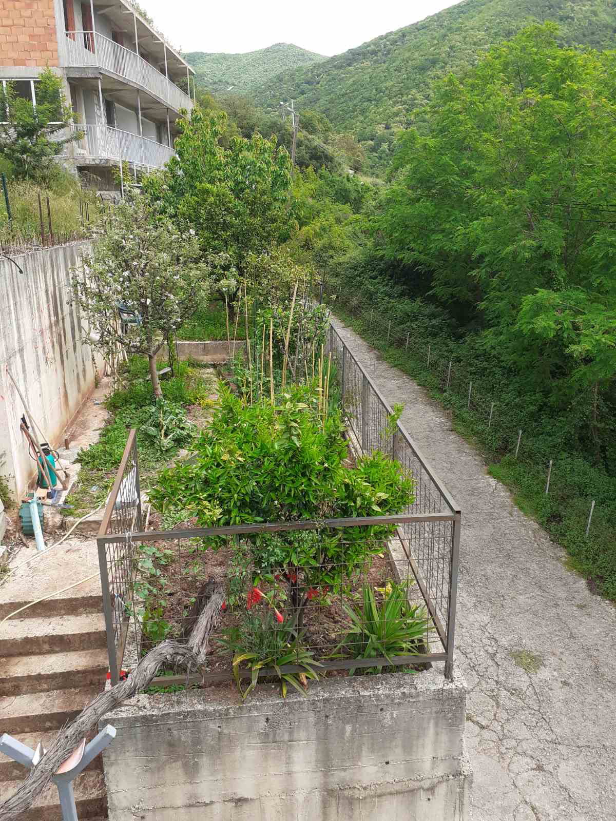 Slika nekretnine 3