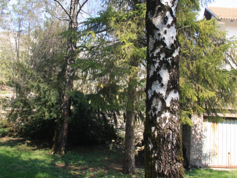 Satış - Arazi Nikšić, Nikšić