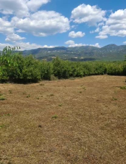 Продаж - Земля Danilovgrad, Danilovgrad