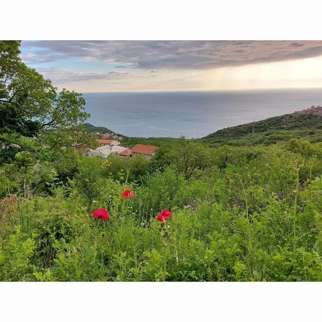Sale - Land Budva, Sveti Stefan