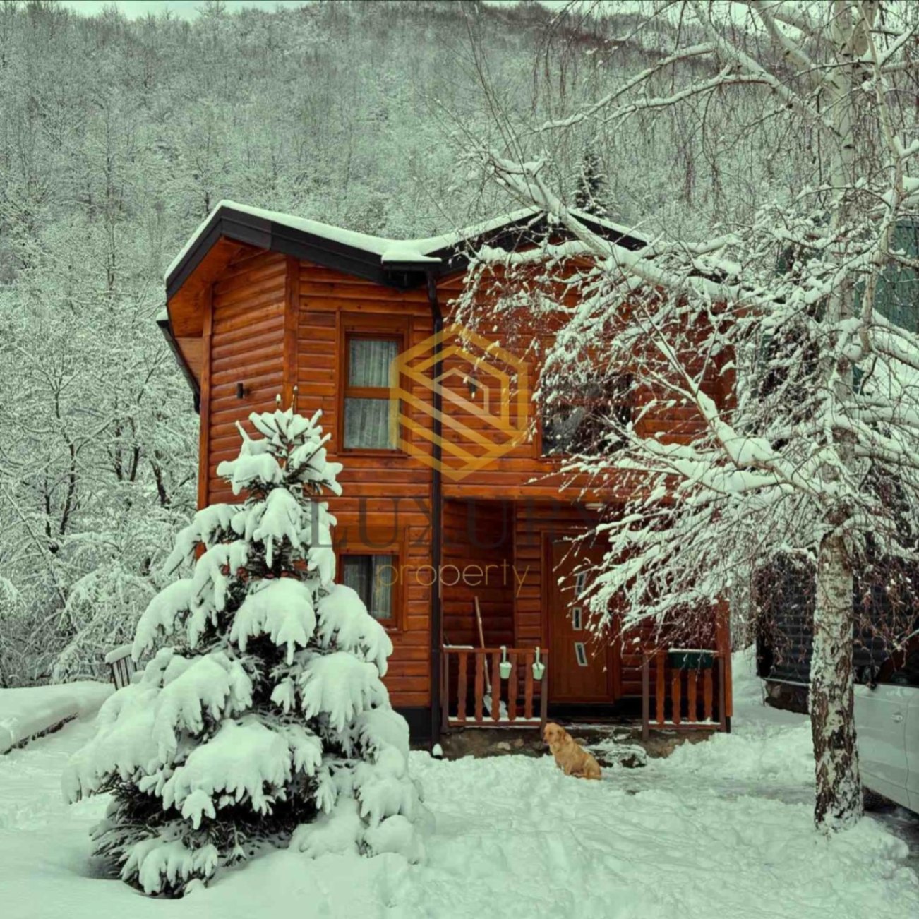 Kiralık - Ev Kolašin, Centar
