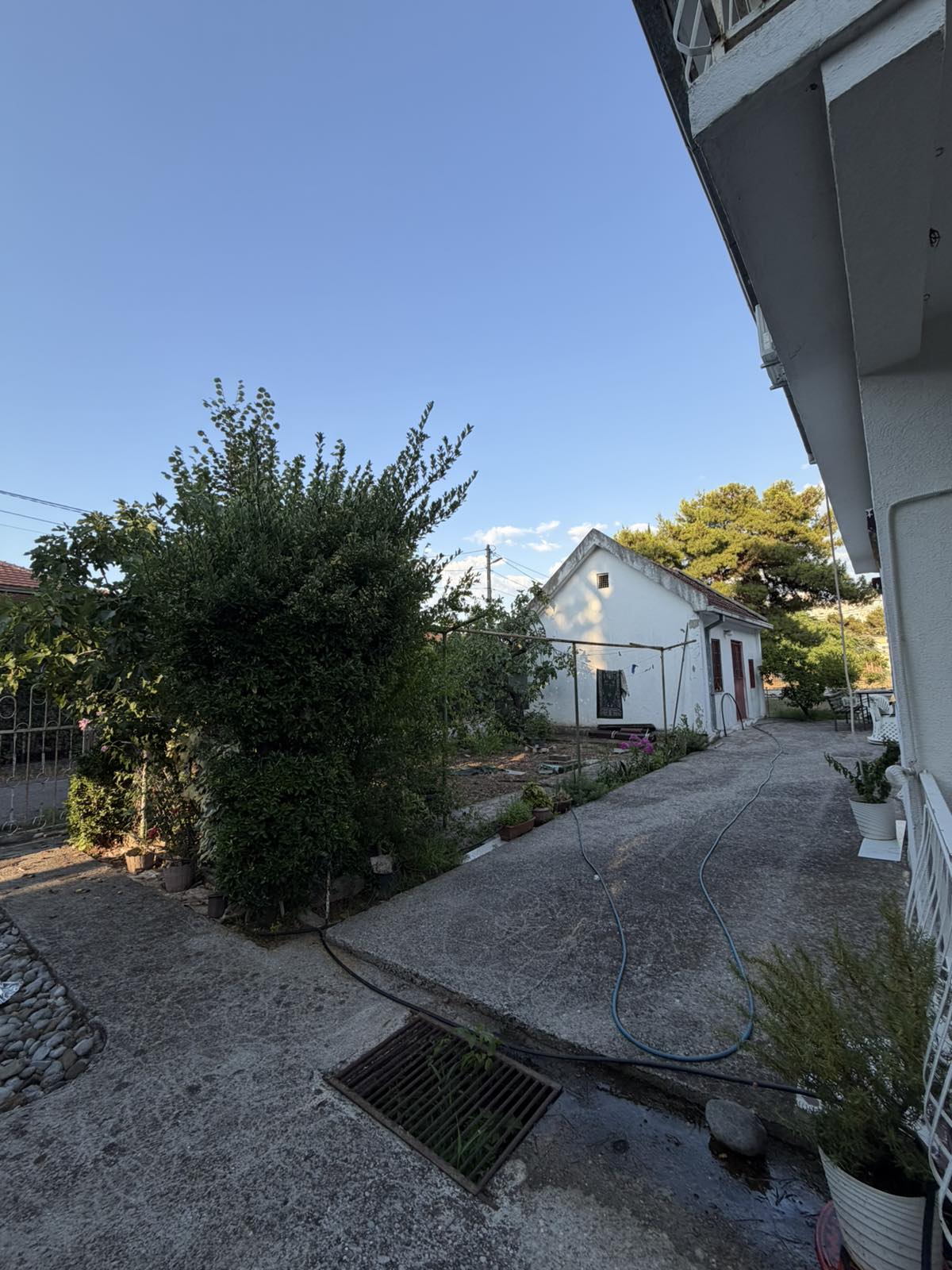 30047920-1ed1-46d3-8c38-4485754d4a2c.jpg