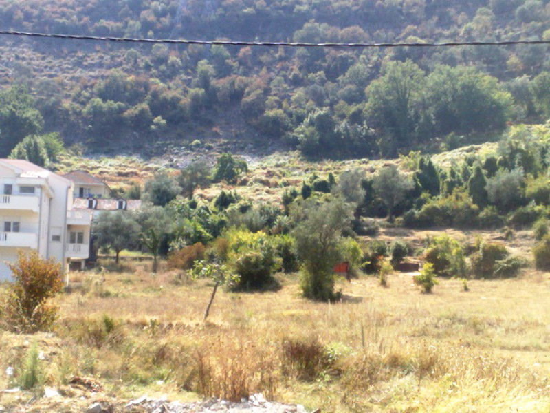 Advert Image