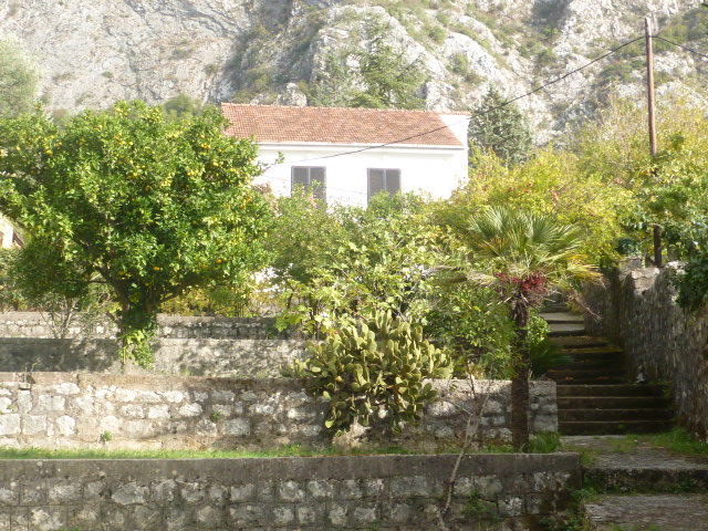 Slika nekretnine 4