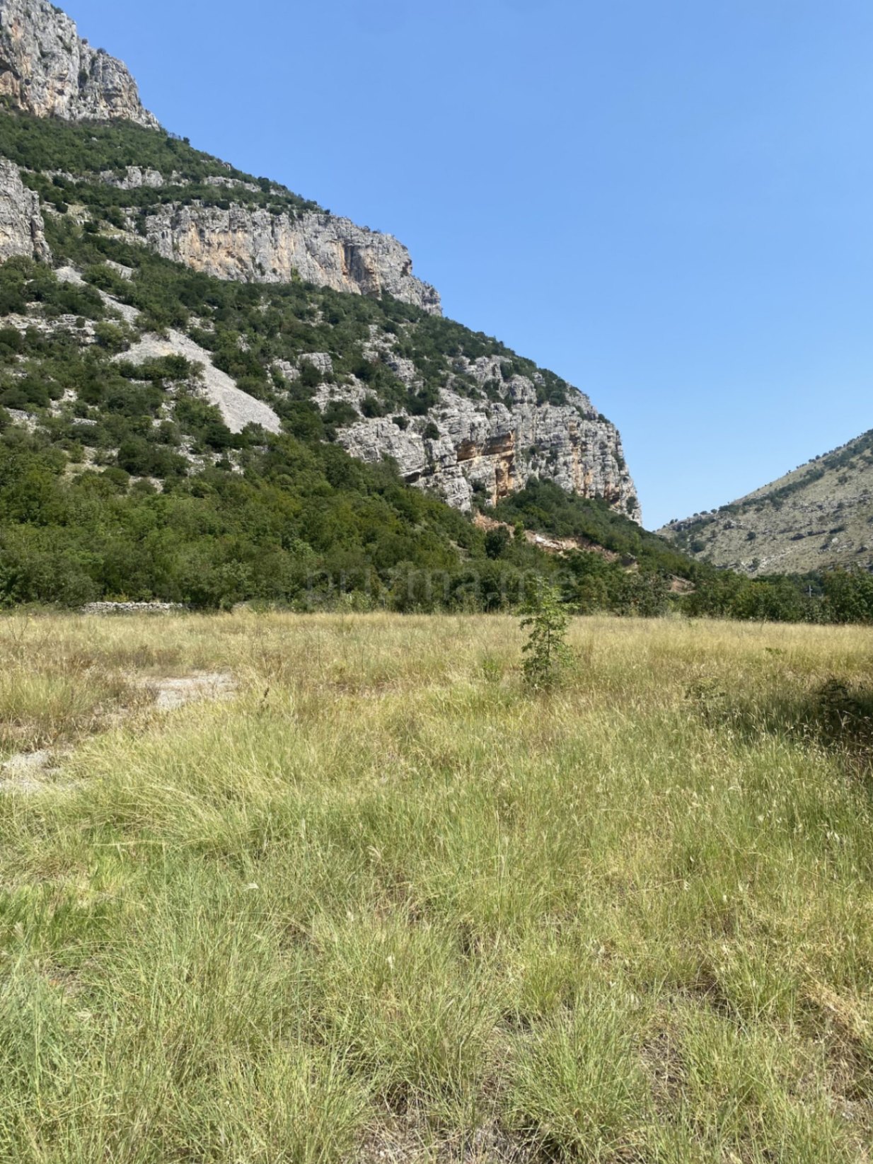 Prodaja - Zemljište Podgorica, Ostalo