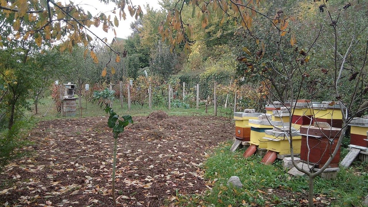 Slika nekretnine 5