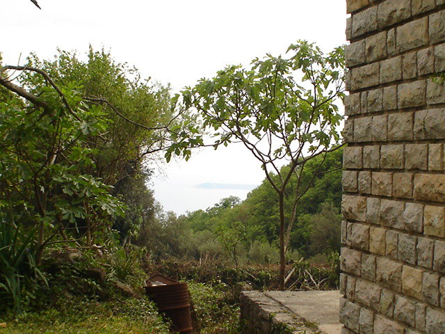 Slika nekretnine 10