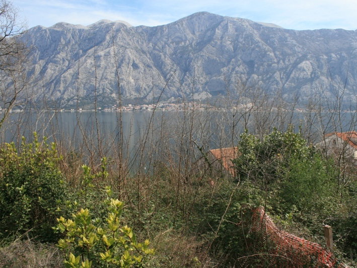 Slika nekretnine 7
